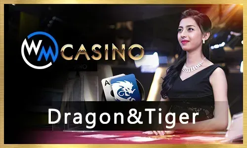 Bingoplus Mobile Gaming Interface